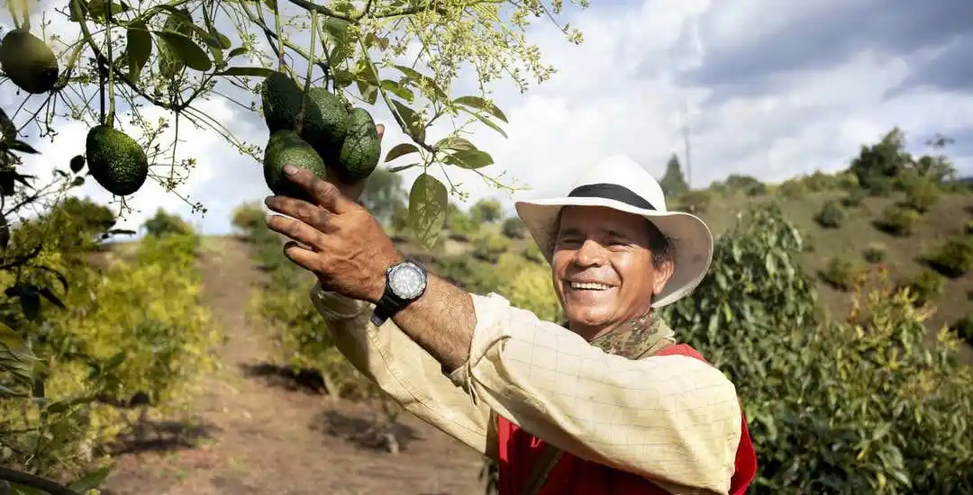Colombia Reporta Crecimiento Histórico en Exportaciones Agropecuarias en 2025